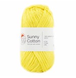 306 Sunny