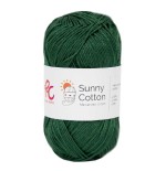 307 Sunny
