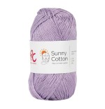 318 Sunny